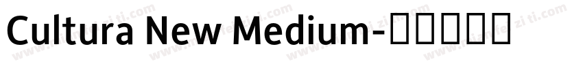 Cultura New Medium字体转换